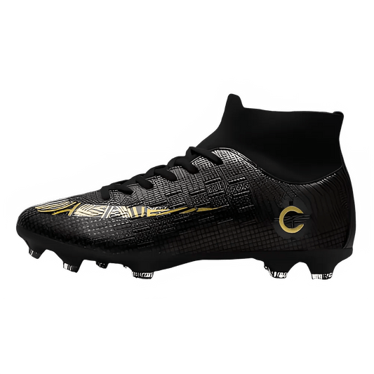 2db74e2f-016d-4d86-8eae-a9b935d94bfa