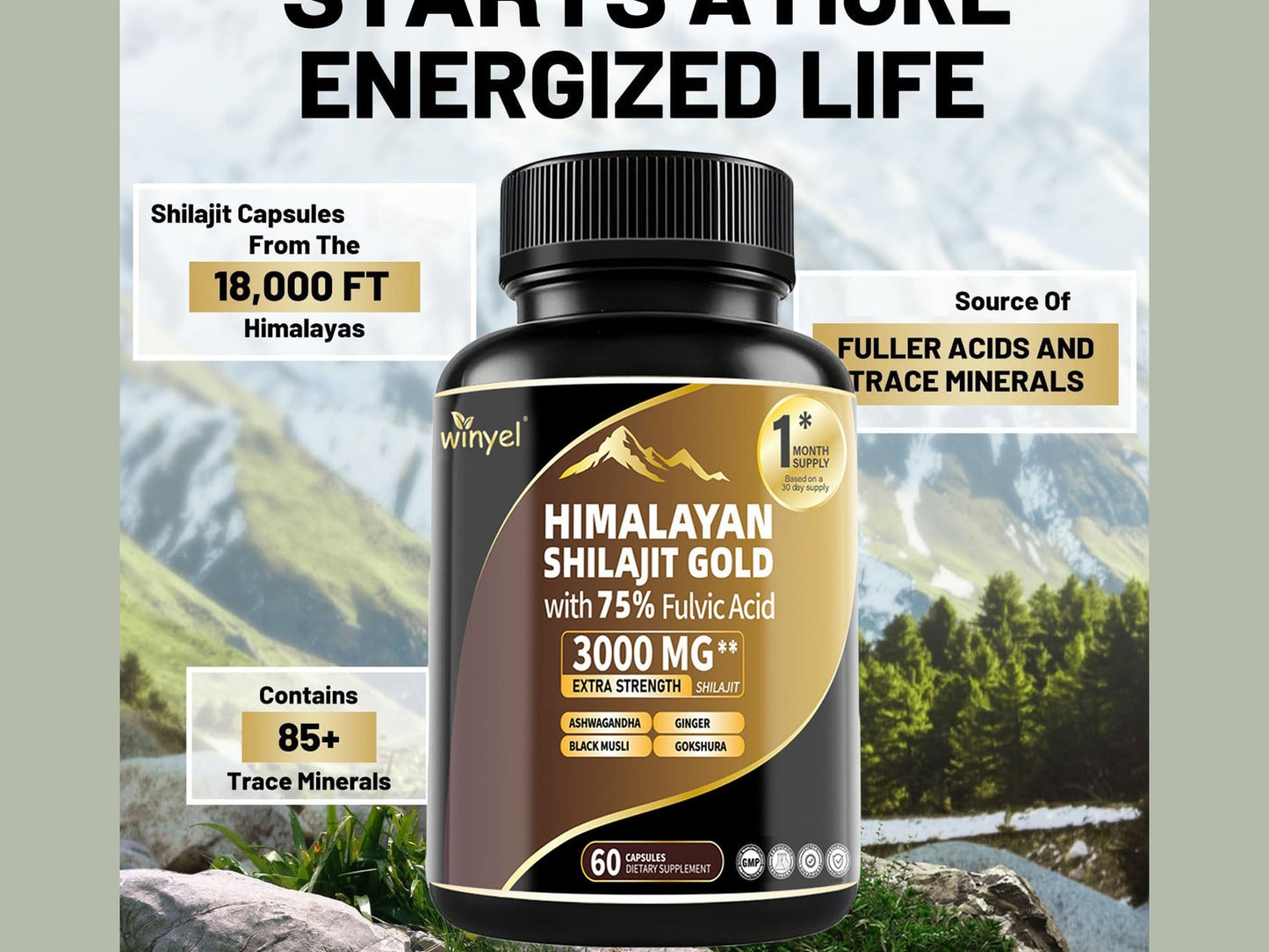 High Potency Gold Grade Himalayan Shilajit Supplements, 60 Capsules For Women And Men