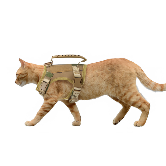 643cfe67-c4f6-4569-a04e-f9981bfff3b8