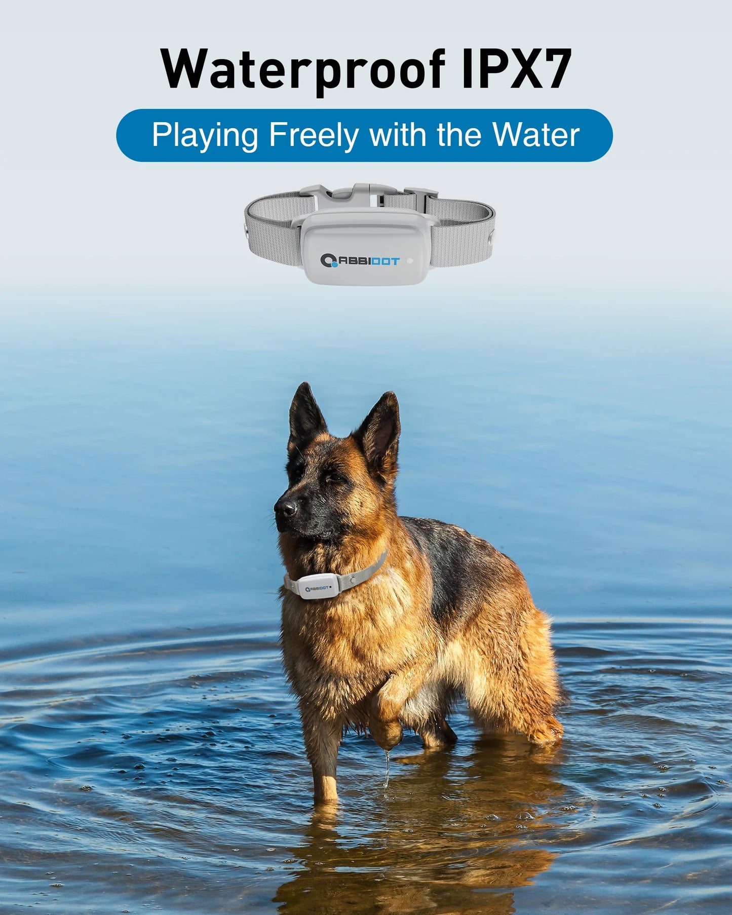 Sea8584ddb3544730b4b4cc7a9e23b0b73