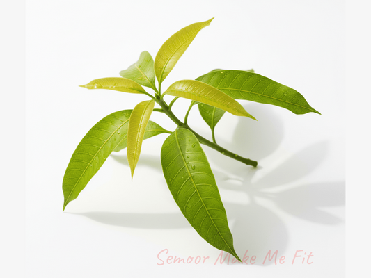 Fresh Green Mango Leaves