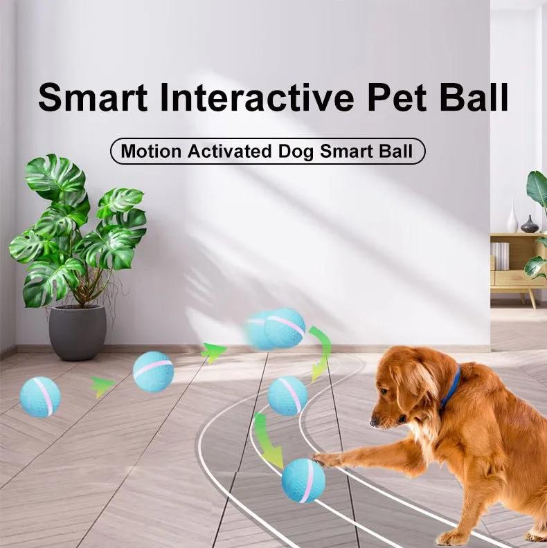 Pet Electric Dog Ball - Semoor Make Me Fit