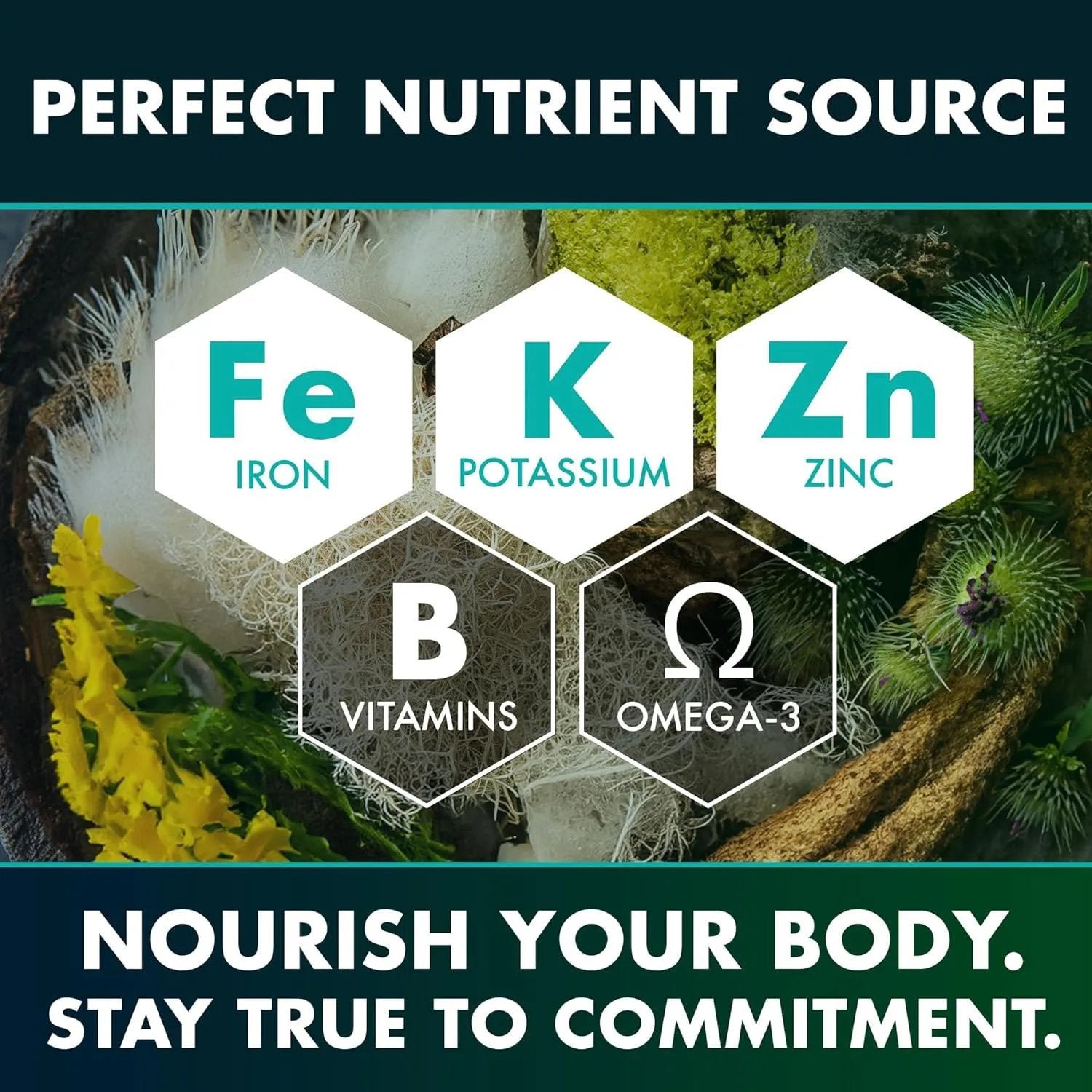 Seaweed Compound Vitamin Capsules - Semoor Make Me Fit